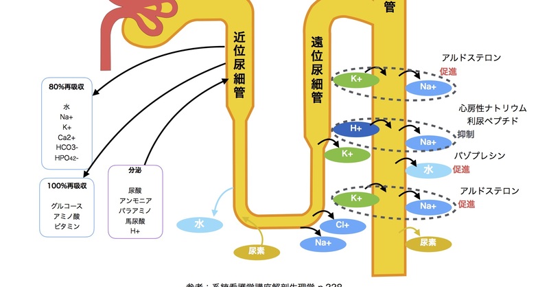腎臓リハビリテーション ogpcover.ashx?bookcode=265750