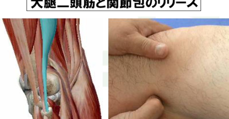 【美品】オーソペディック・マッサージ 軟部組織への神経筋アプローチ オーソペディック・マッサージ -軟部組織に対する神経筋アプローチ- 筋