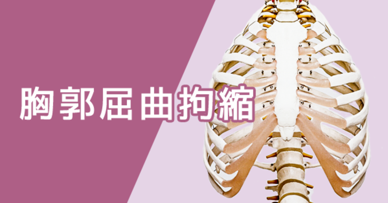 図説臨床整形外科講座〈第2巻〉頸椎・胸椎・胸郭 (1983年) 図説臨床整形外科講座〈第2巻〉頸椎・胸椎・胸郭 (1983年) 図説