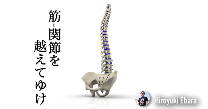 筋・関節を越えてゆけ！～筋骨格系疼痛に対する信念と態度その5