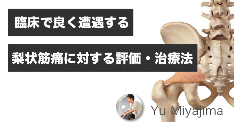 AKS療法　腰下肢痛への治療戦略と梨状筋の筋細胞リリース AKS療法 腰下肢痛への治療戦略と、梨状筋の筋細胞