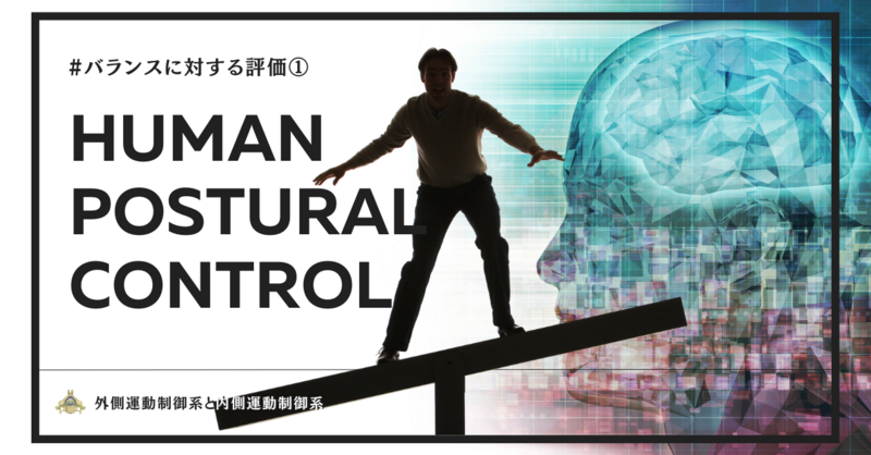 評価】バランスに対する評価① | 理学療法士・作業療法士・言語