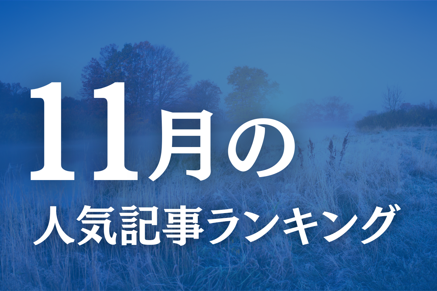 【11月】に一番読まれた記事はこれだ