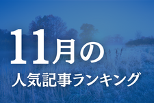 【11月】に一番読まれた記事はこれだ
