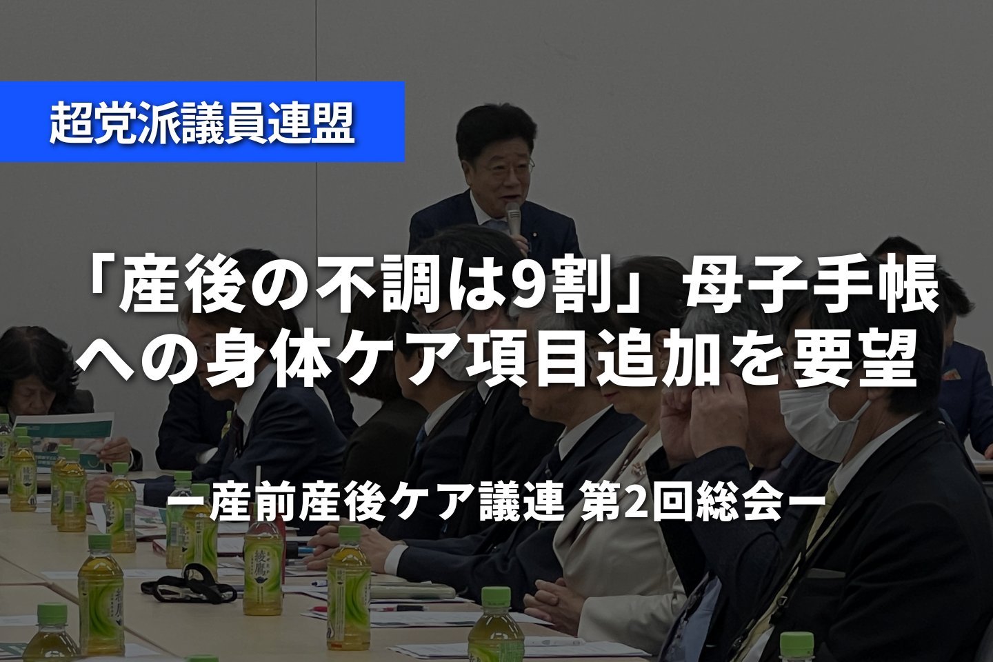 「産後の不調は9割」母子手帳への身体ケア項目追加を要望──産前産後ケア議連 第2回総会開催