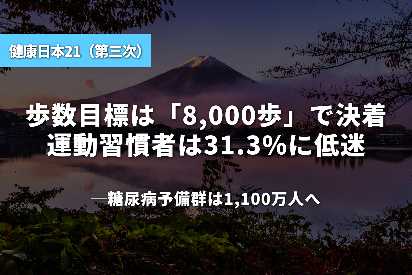 歩数目標は「8,000歩」で決着、運動習慣者は31.3%に低迷|糖尿病予備群は1,100万人へ