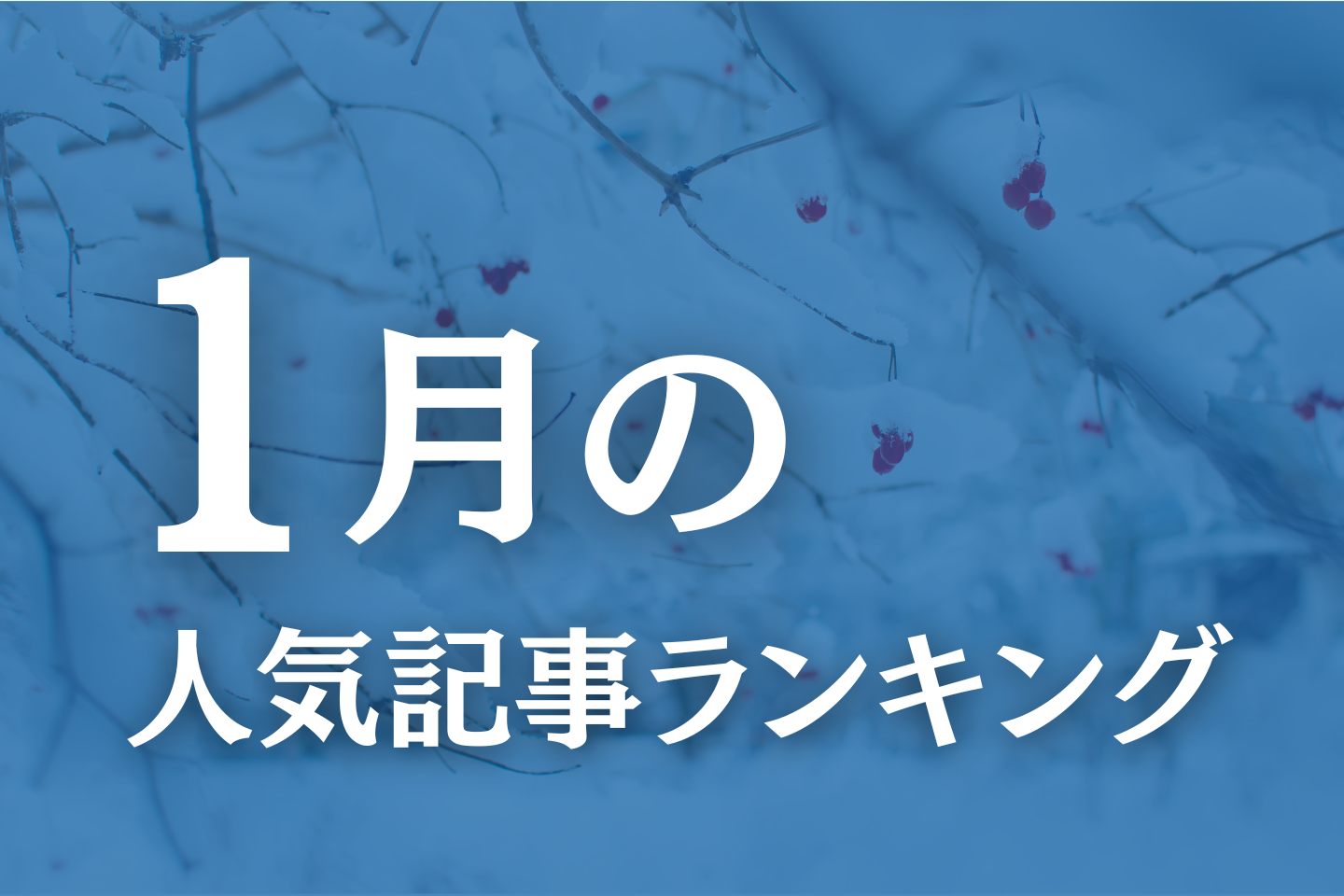 【1月】に一番読まれた記事はこれだ