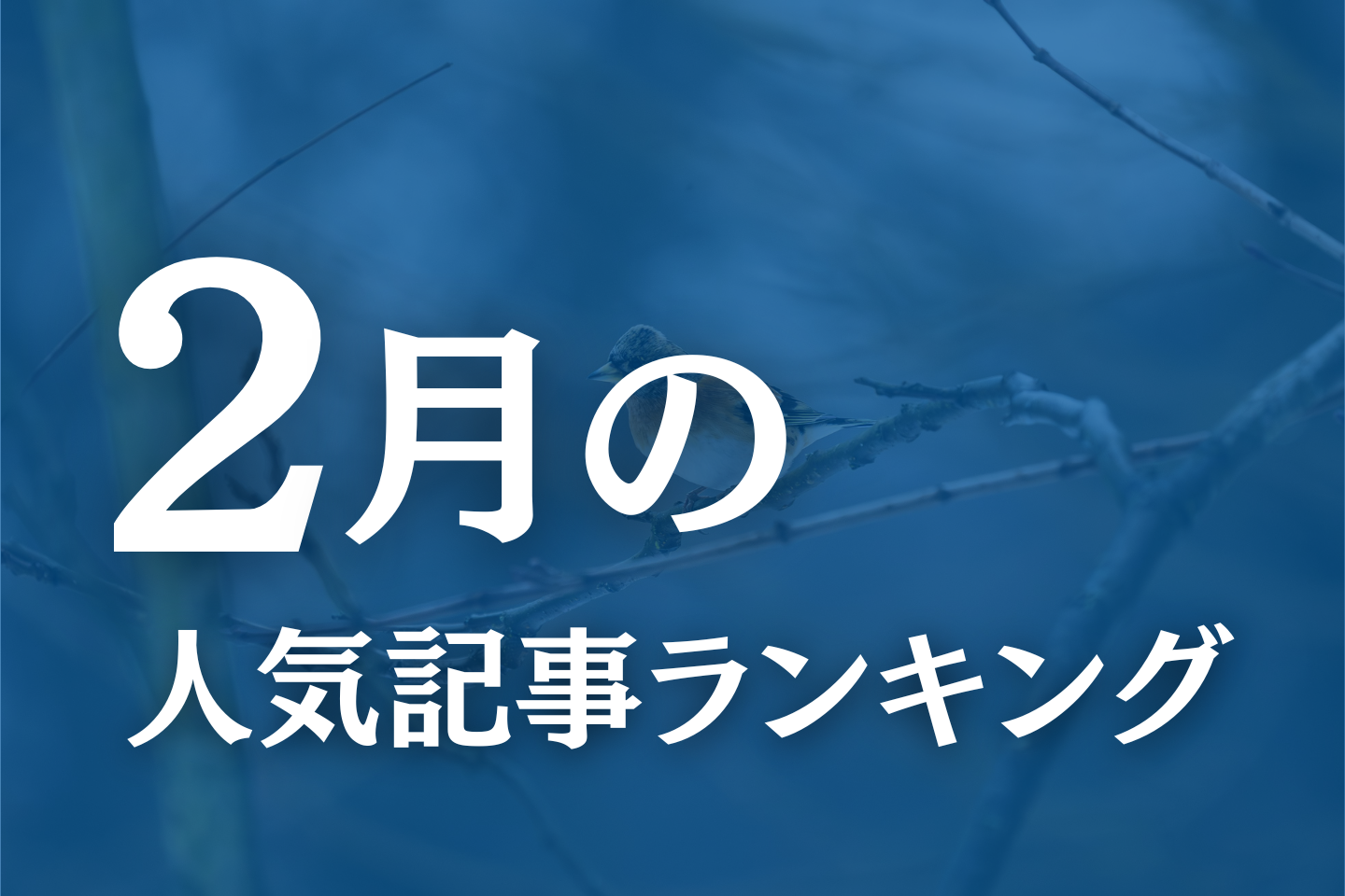 【2月】に一番読まれた記事はこれだ