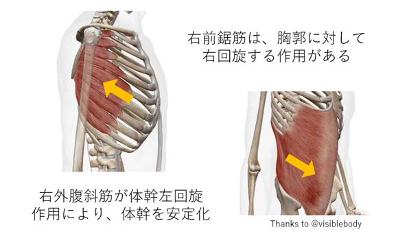 腰痛アプローチ】根本改善の運動療法といえば○○！ | 理学療法士