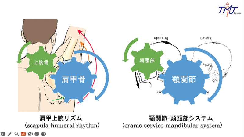 頭頸部・顎関節の痛みと機能障害の臨床 診断と治療への学際的アプロ-チ  /医歯薬出版/ハロルド・ゲルブ（単行本） △01)頭頸部・顎関節の痛みと機能障害の臨床 診断と治療への学際的