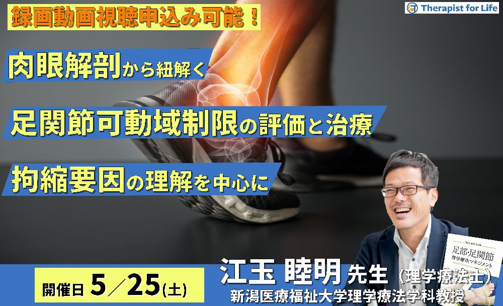 締切り間近】肉眼解剖・機能解剖学的視点から紐解く足関節可動域