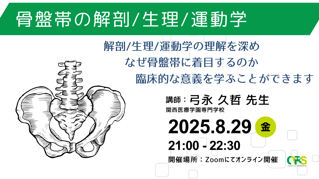 解剖学・生理学・リハビリテーション医学セット オンライン開催 骨盤帯の解剖/生理/運動学 | 理学療法士・作業
