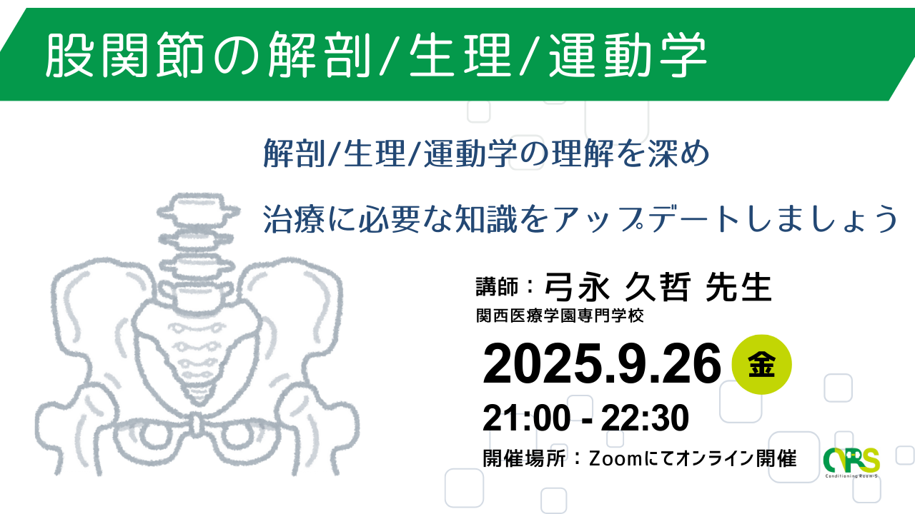 オンライン開催 股関節の解剖/生理/運動学