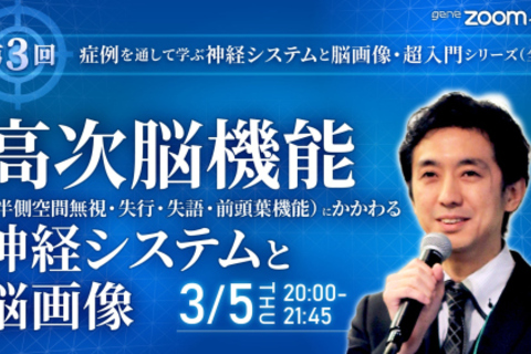 【第3回】高次脳機能（半側空間無視・失行・失語・前頭葉機能）にかかわる神経システムと脳画像