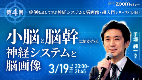 【第4回】小脳と脳幹にかかわる神経システムと脳画像
