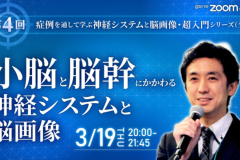 【第4回】小脳と脳幹にかかわる神経システムと脳画像
