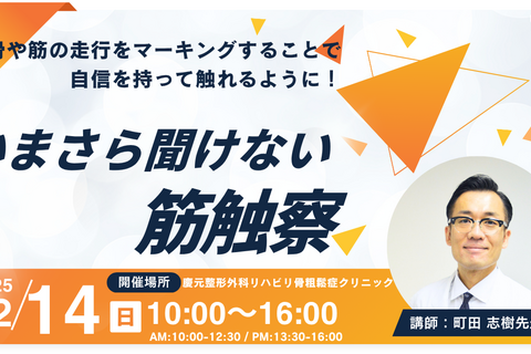 いまさら聞けない筋触察