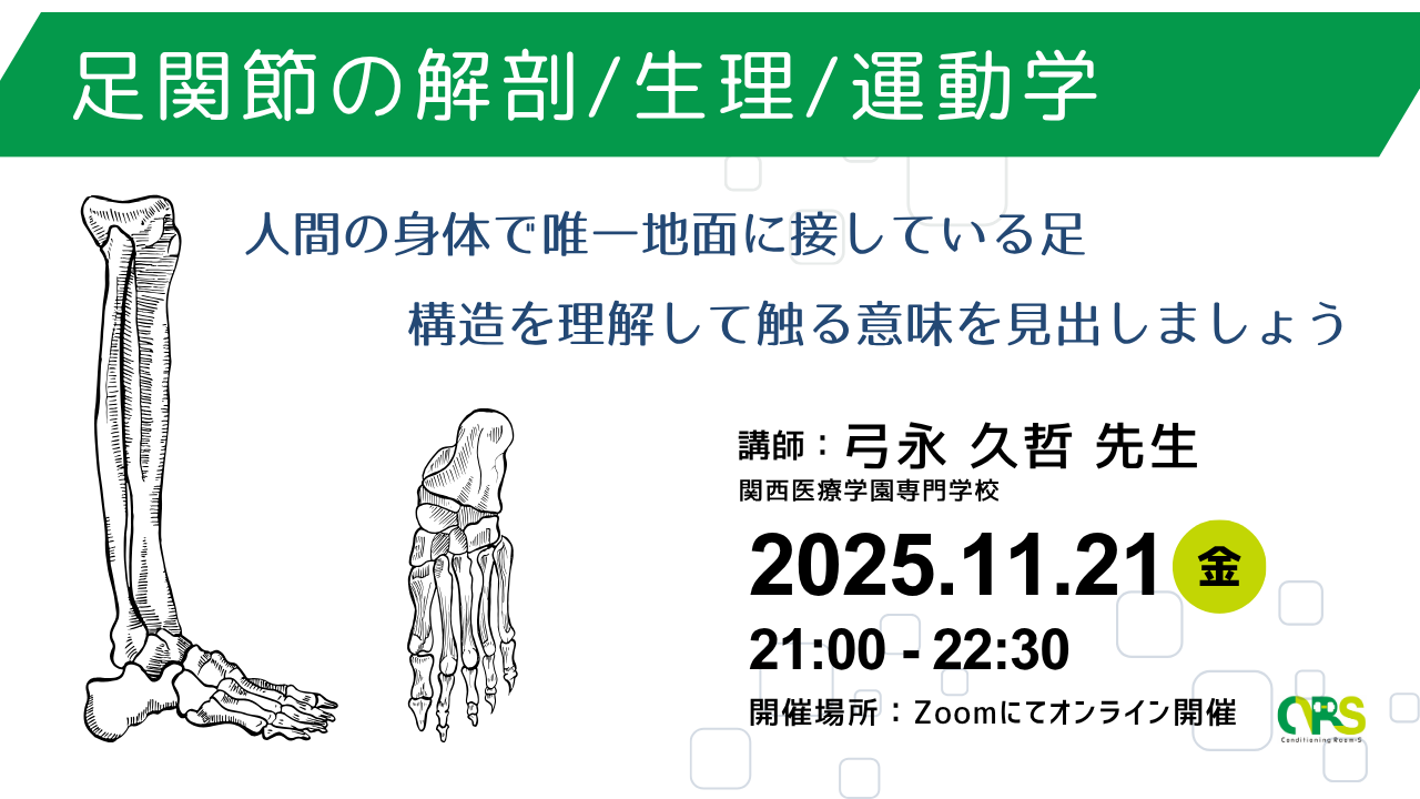 オンライン開催 足関節の解剖/生理/運動学