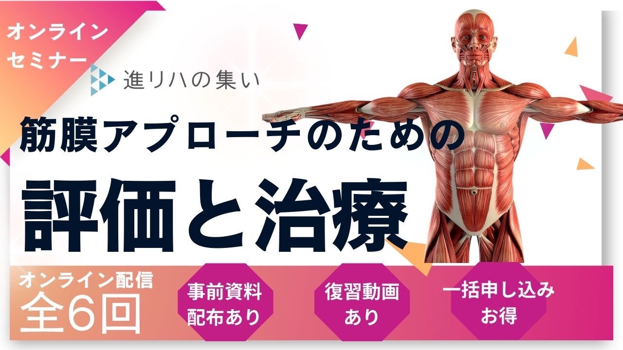  【オンラインセミナー】全身を把握できるようになる‼️筋膜アプローチのための評価と治療 　（概要編・評価触診編・治療編①②③④）