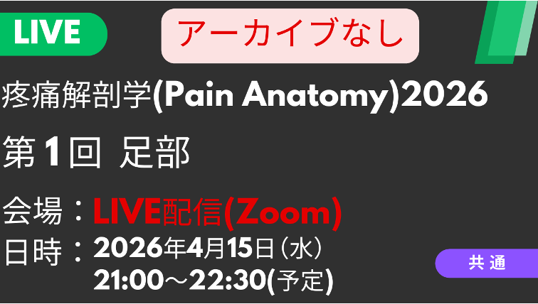疼痛解剖学2026<LIVE配信>①足部：Baxter神経・内側踵骨神経の触診