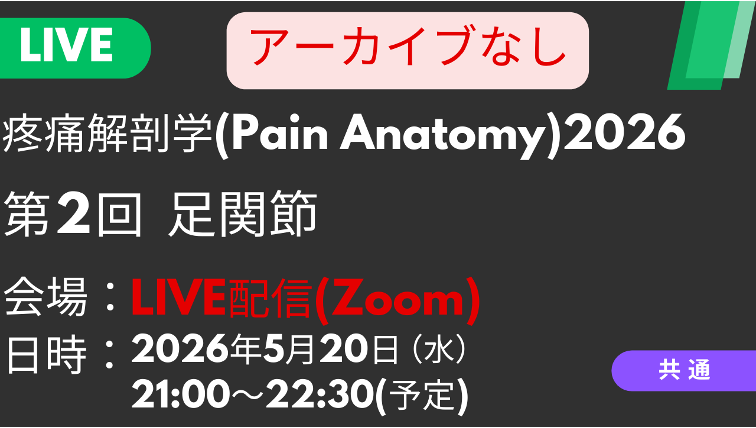 疼痛解剖学2026<LIVE配信>②足関節：浅腓骨神経・深腓骨神経の触診