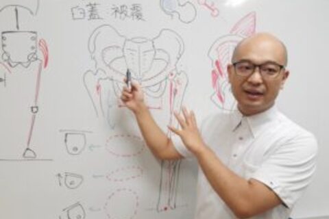 股関節の痛み・可動域制限の評価と運動療法 ― 局所解剖図で学ぶ治療戦略 ―（14日間の見逃し配信付き）