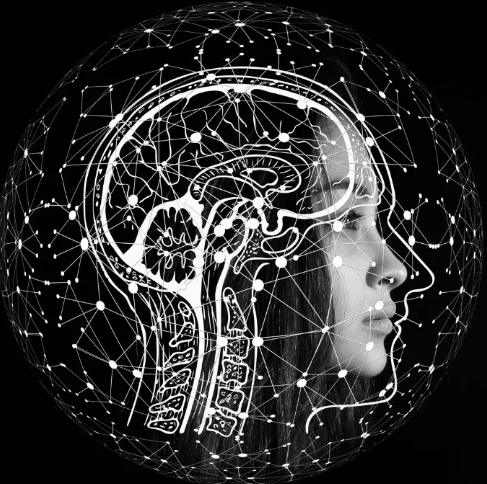 【吉尾雅春先生】脳卒中患者の歩行障害や上肢機能を脳のシステムと解剖学から考える｜姿勢制御障害と歩行