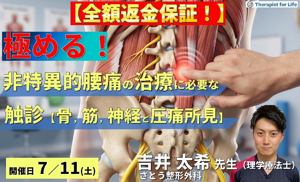 【早割中！】非特異的腰痛の評価・運動療法を極めるための機能解剖と触診技術〜病態鑑別に必要な骨・筋・神経の触診と圧痛評価のポイント～　講師：吉井太希先生