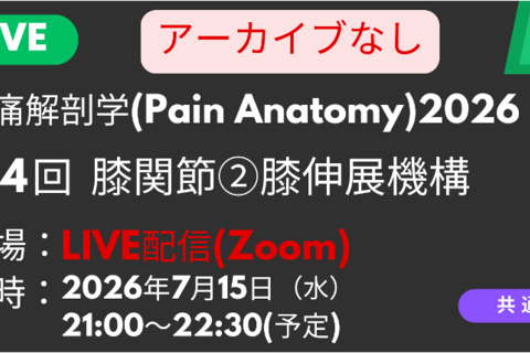 疼痛解剖学2026<LIVE配信>膝関節：膝伸展機構周囲の神経触診