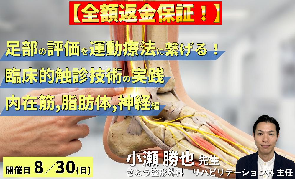 【早割中!】足部の評価を運動療法に繋げる!臨床的触診技術の実践【内在筋・脂肪体・神経編】~機能解剖を「治せる技術」へ進化させる~ 講師:小瀬勝也先生