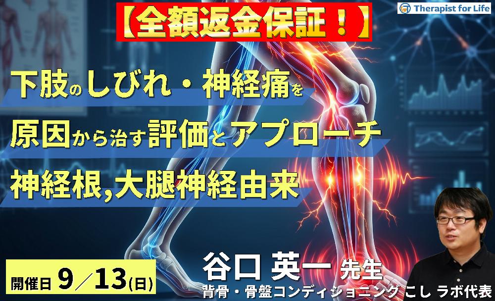 下肢のしびれ・神経痛を"原因"から治す評価とアプローチ〜神経根・大腿神経由来の下肢痛・痺れを読み解く〜　講師：谷口英一先生