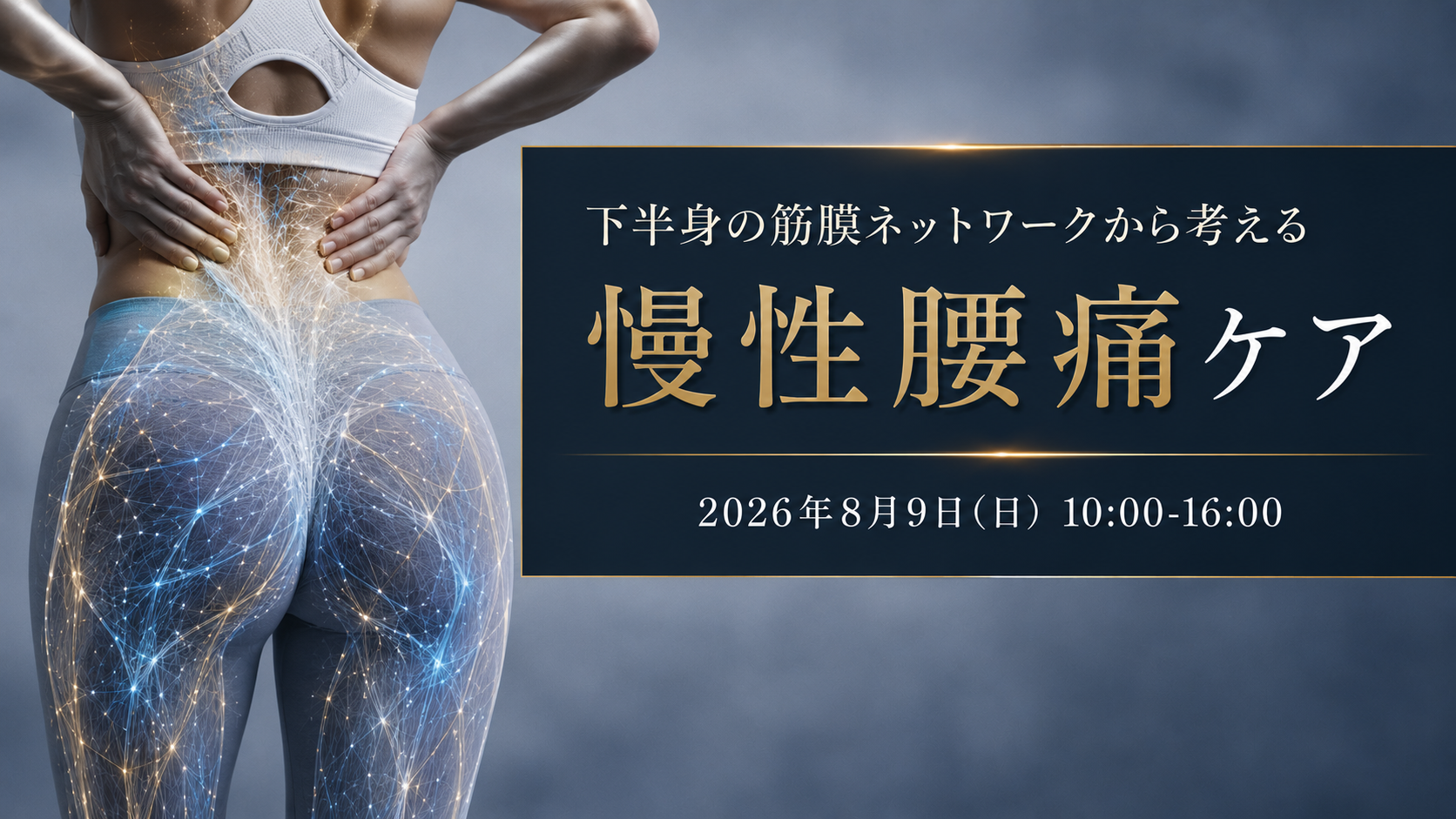 下半身の筋膜ネットワークから考える慢性腰痛アプローチ