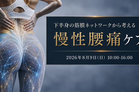 下半身の筋膜ネットワークから考える慢性腰痛アプローチ