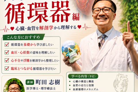 【Web開催】いまさら聞けない解剖学　循環器編